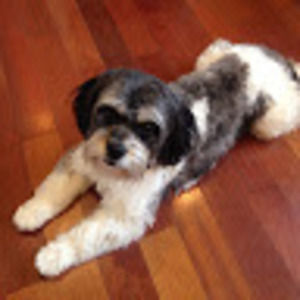 Meet your Posher, Ragarac1